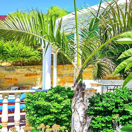 Villa Mansion View